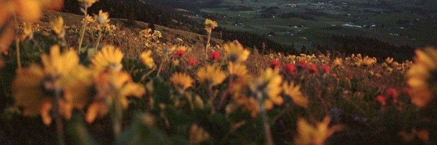 bswqx_'s profile banner image