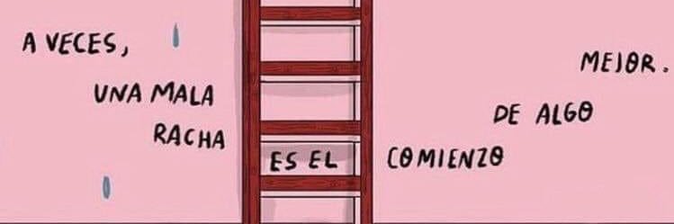 florestefania25's profile banner image