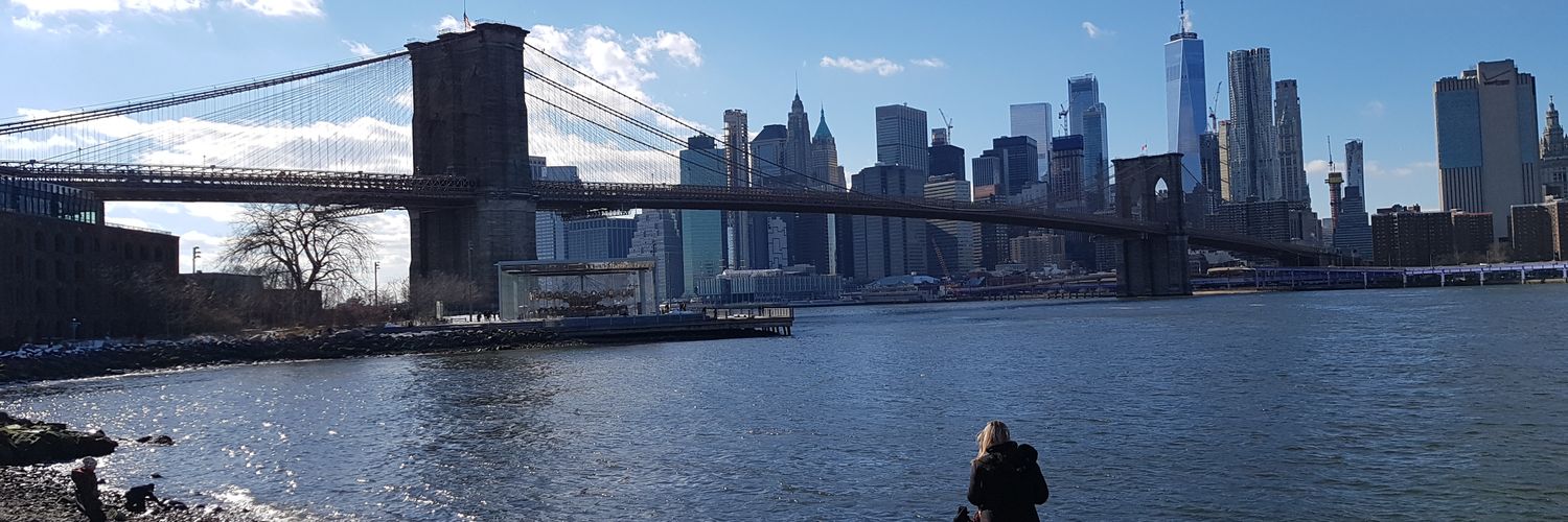 guadalupe sanz banner