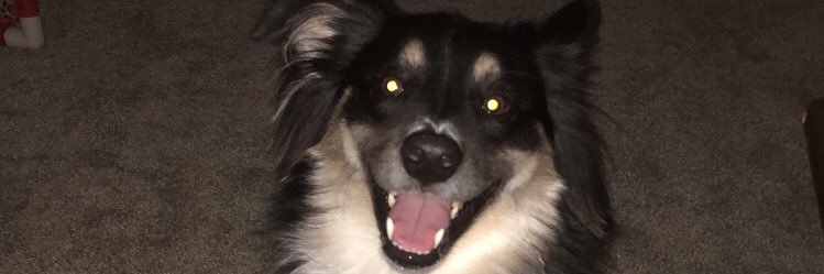 JulianShier8's profile banner image