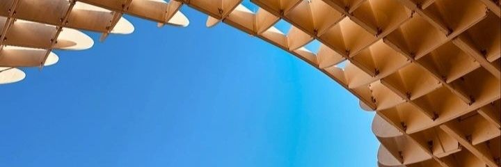 VitoPalmito's profile banner image