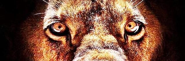 LAMONT_DA_LEO's profile banner image