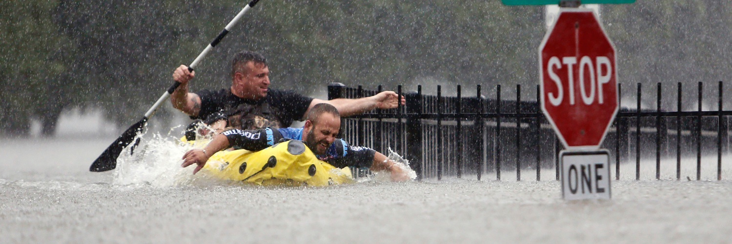Mark Mulligan banner