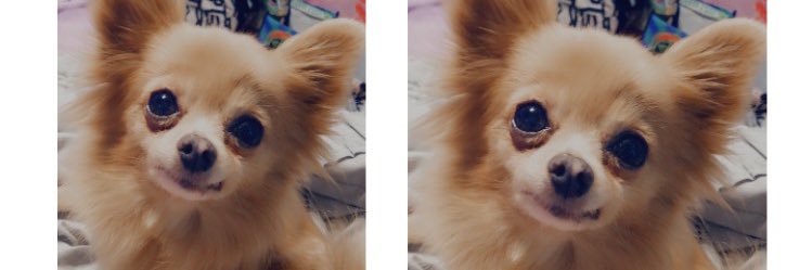 elysepratti's profile banner image
