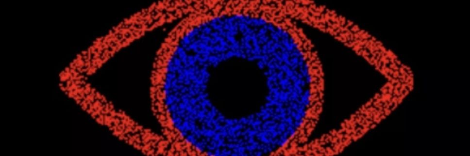 Daniel Phillips banner