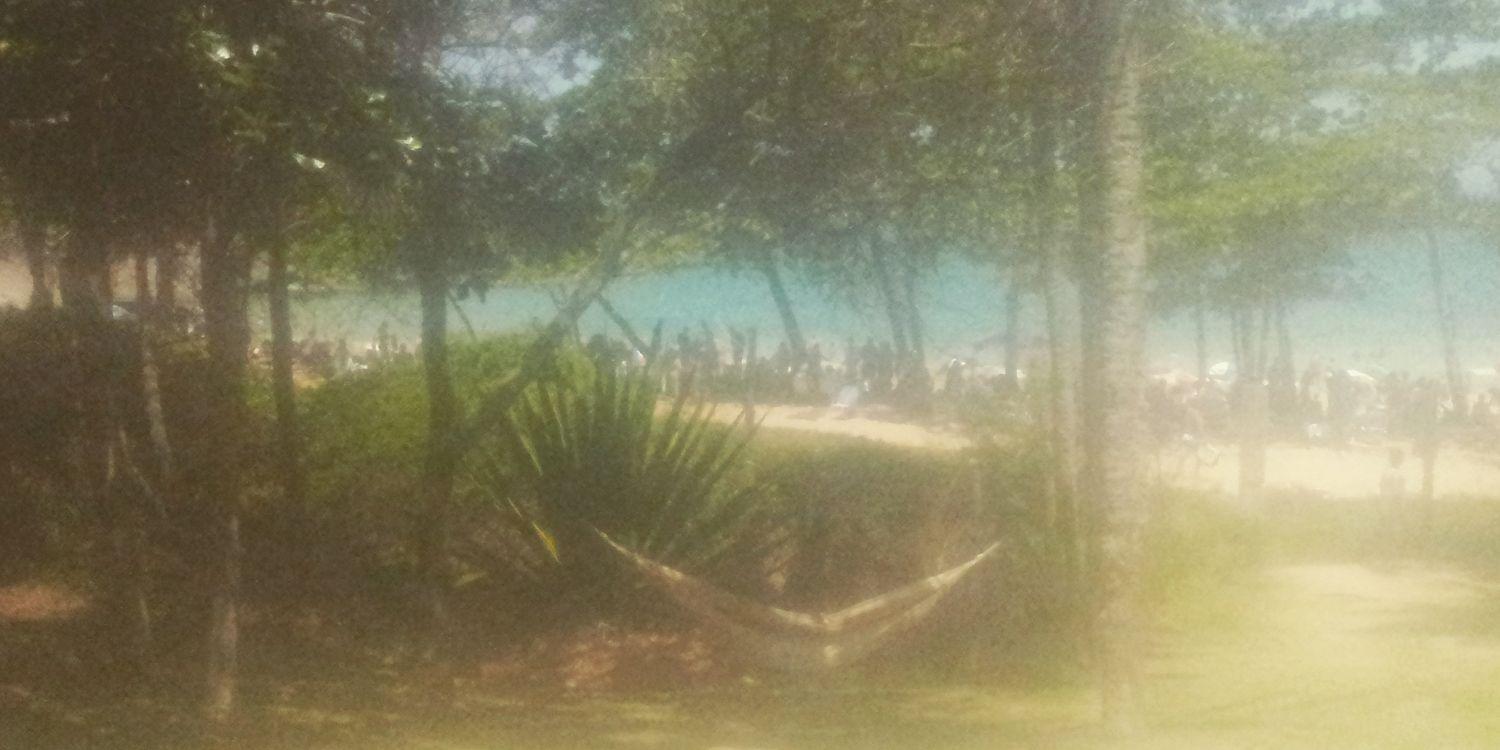 MGuarapari's profile banner image