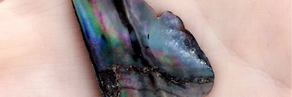 MaciTheMacilynn's profile banner image
