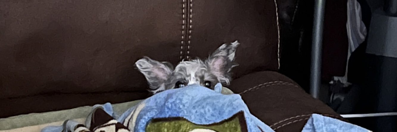 beeladmz's profile banner image