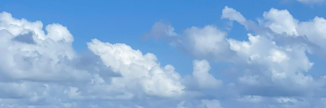 widwindy's profile banner image
