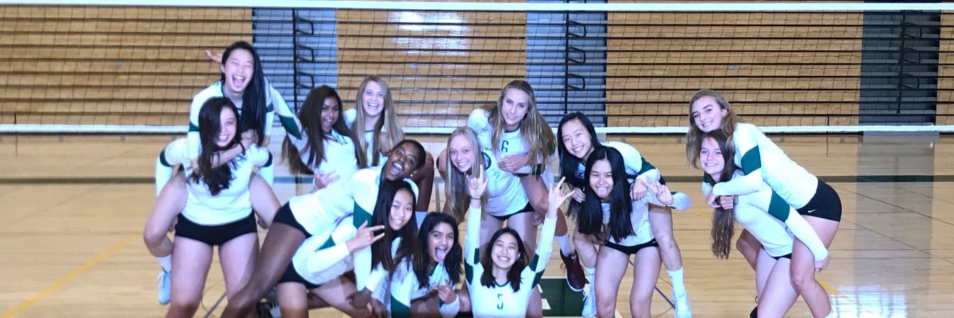 Paly Volleyball banner