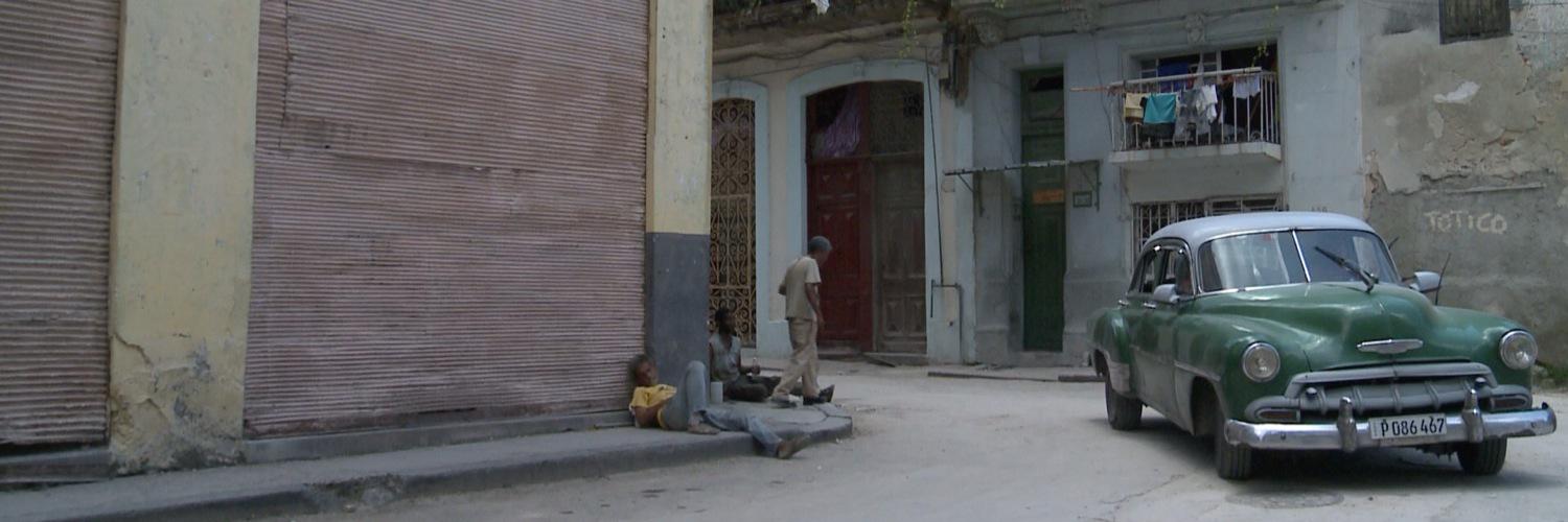 Dr Mara Malagodi banner