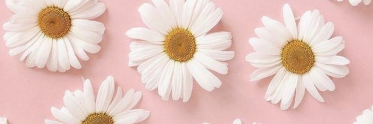 SoriTorres's profile banner image