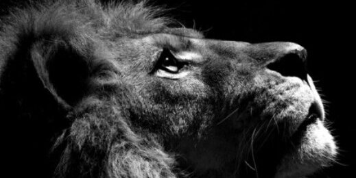 GeoDT's profile banner image