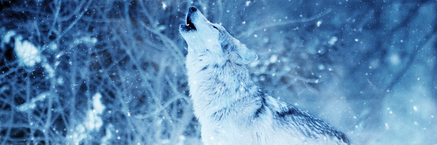 JV#1 🌊🦍🌊❤️‍🔥🙌❤️‍🔥 banner