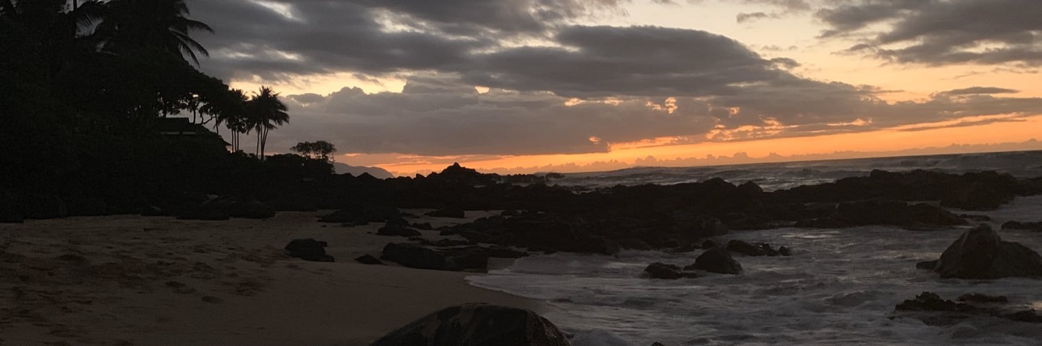 brooklynneprice's profile banner image