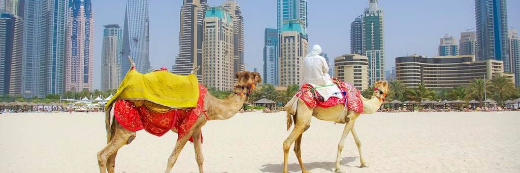 ladyuae34's profile banner image