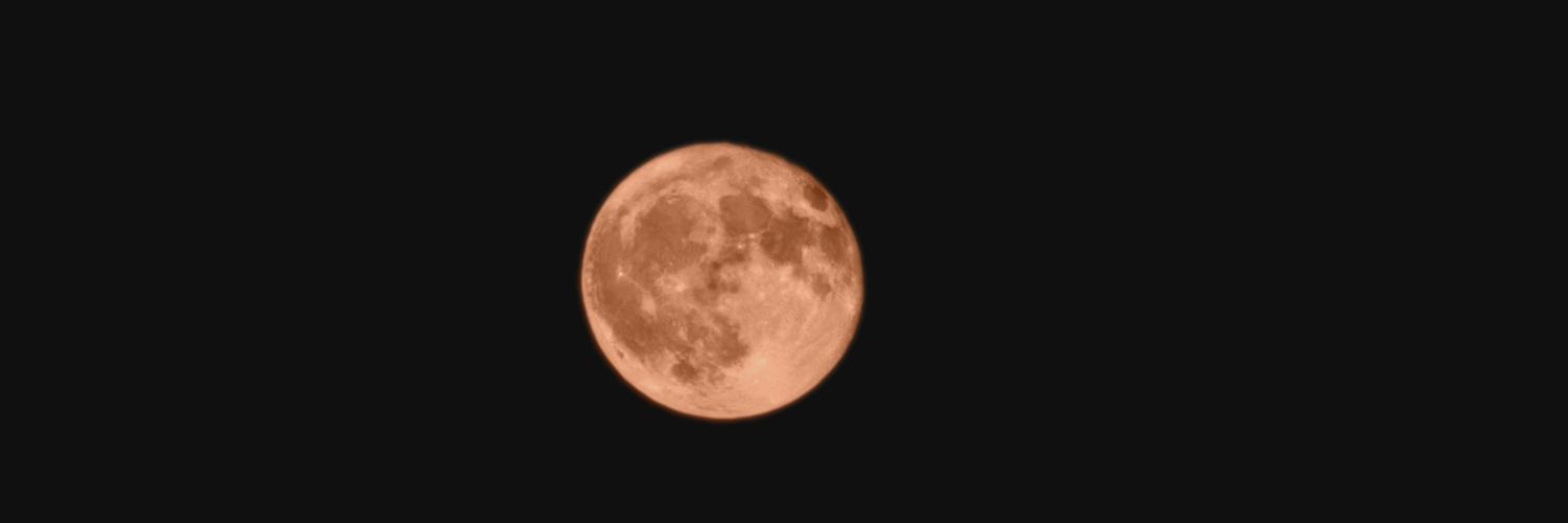 cabbage4711's profile banner image