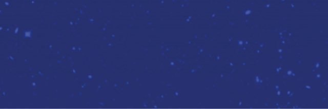 acurituals's profile banner image