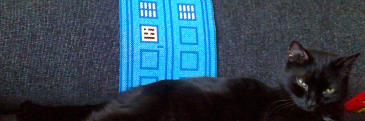 billythetimecat's profile banner image
