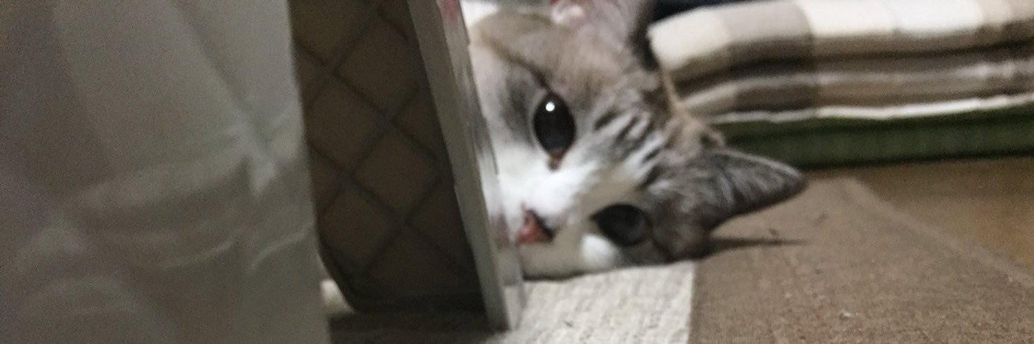 milkdama's profile banner image