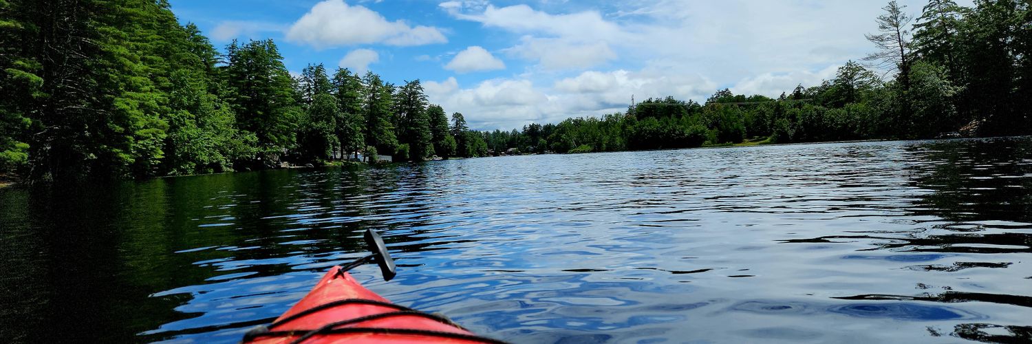 Anthony Baldi banner