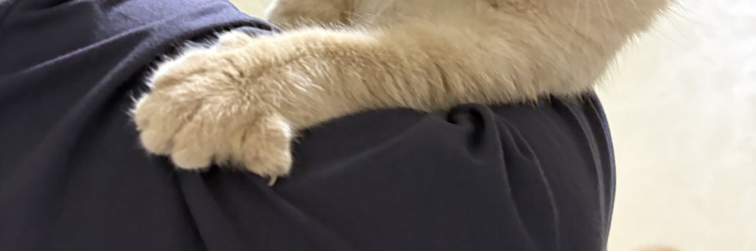 HAMDAnXS's profile banner image