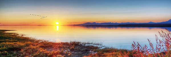 pascalhiel Profile Banner