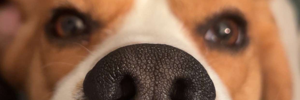 5348334c4c's profile banner image