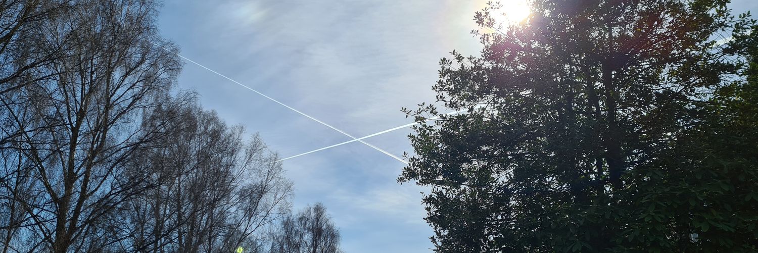 Neil the UK Disintegration Appreciator banner