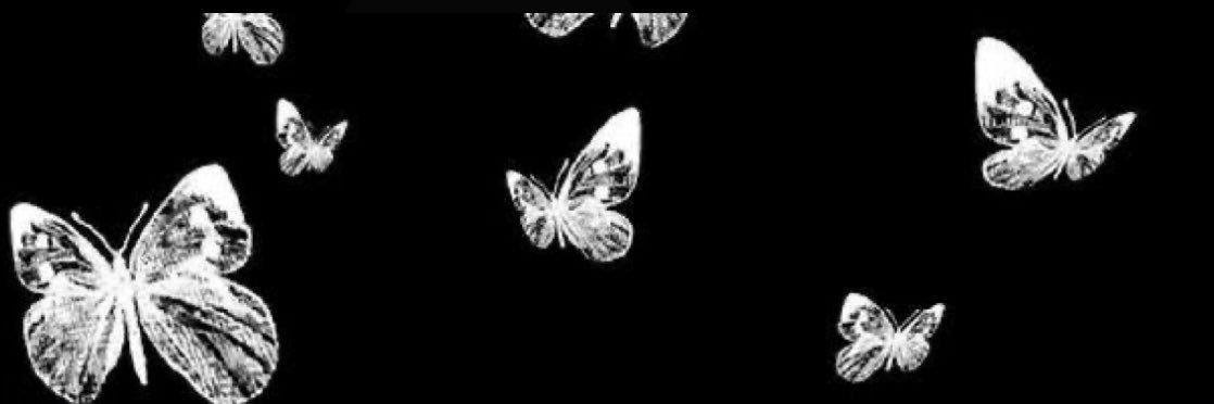 katyncurtiss's profile banner image
