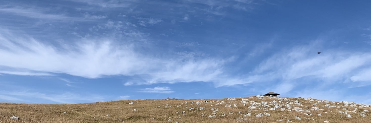 BlueTecE350's profile banner image