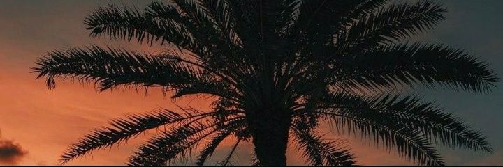 06melisa1's profile banner image