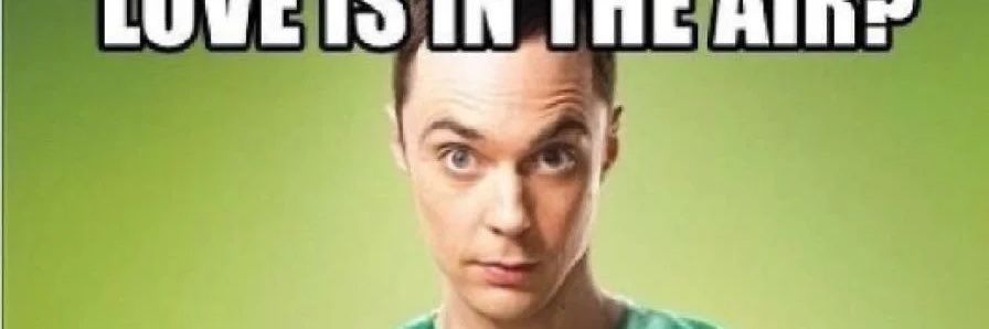 Synnibear03🍉🍉🍉 banner