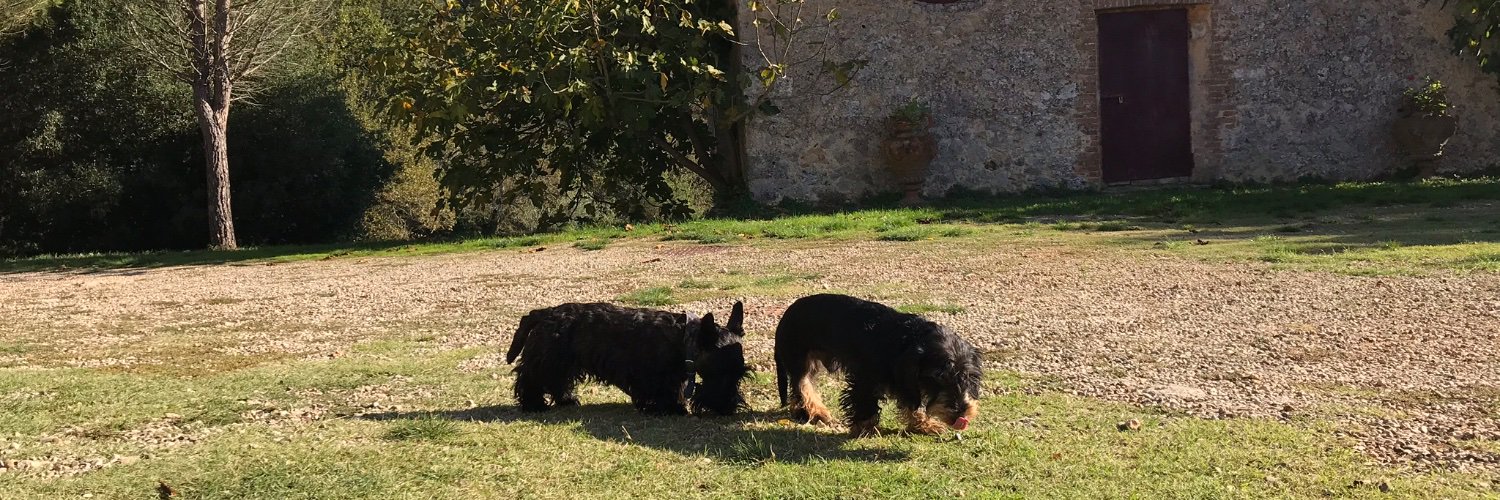 frederike62's profile banner image