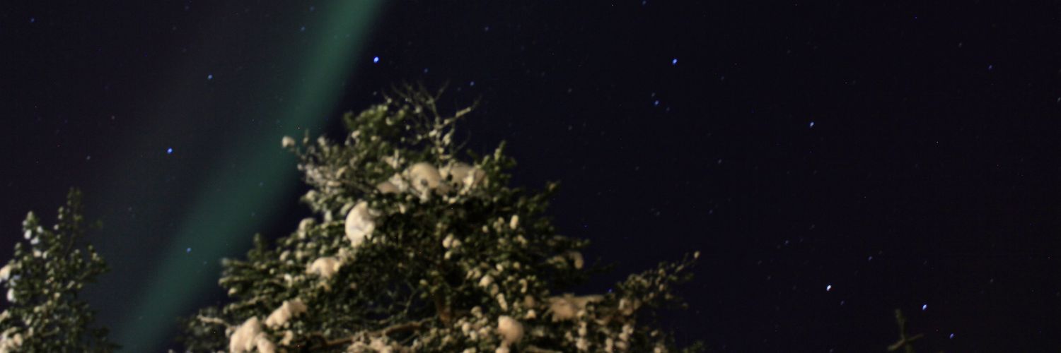 bearbeardFIN's profile banner image
