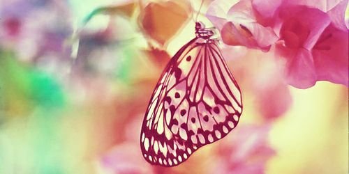 NoniServiddio's profile banner image