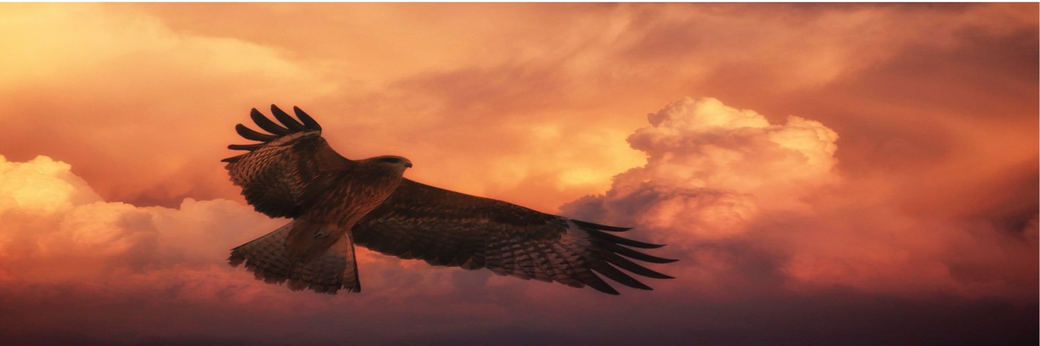 GAppsPhone's profile banner image