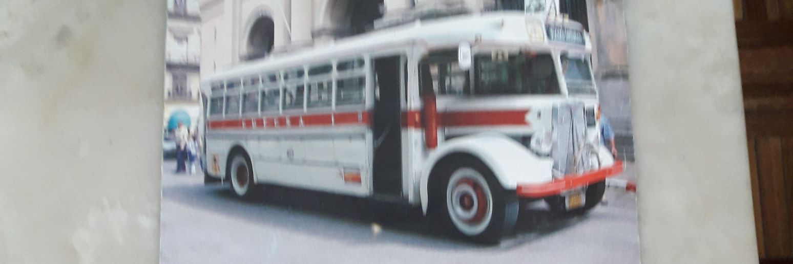 MeyerRuber's profile banner image