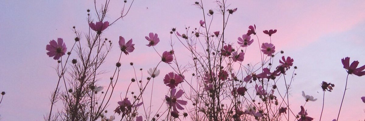 InfinitePaige's profile banner image