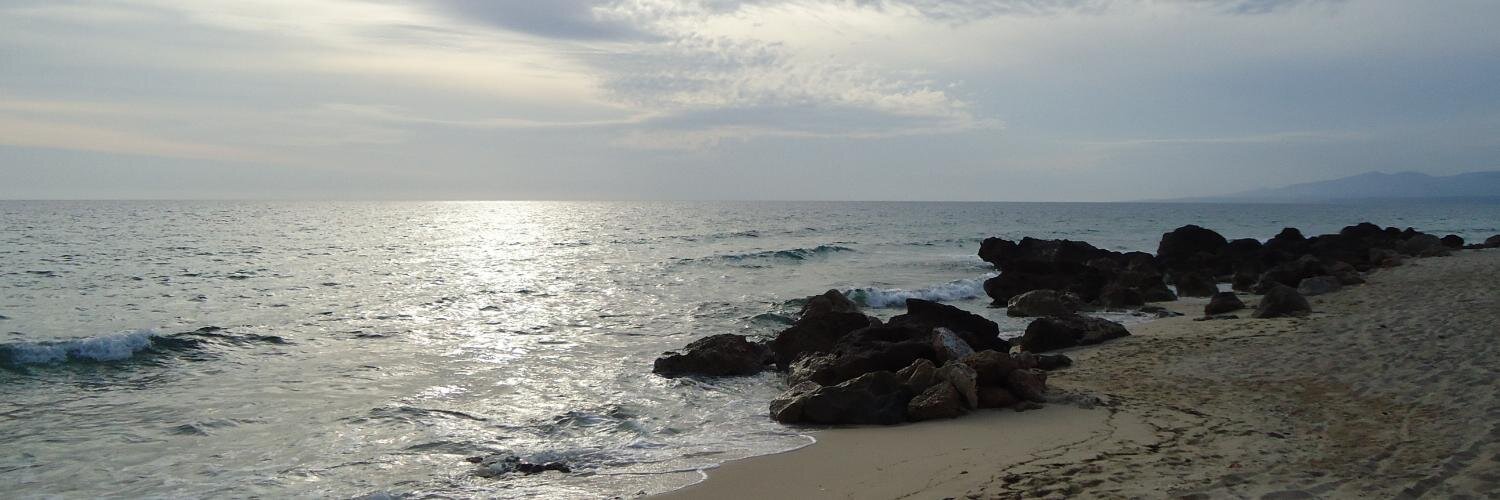 Virginia Rojas banner