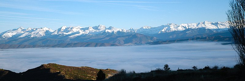 Víty banner