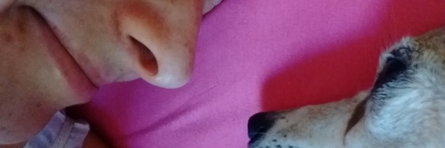 michbonato's profile banner image