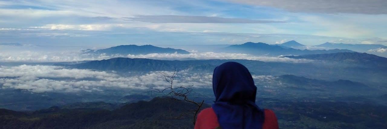 Dikaaputt's profile banner image