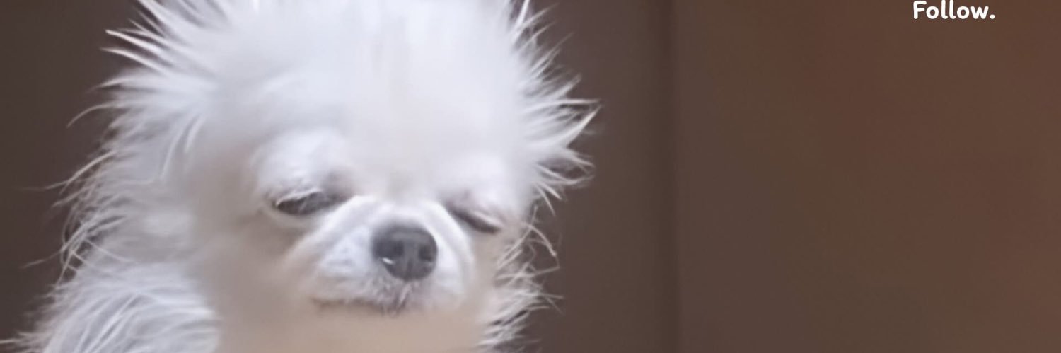CvnBen's profile banner image