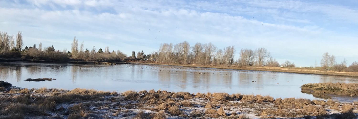 runtboy's profile banner image