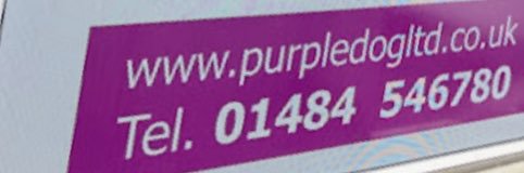 Purple Dog Training Ltd banner