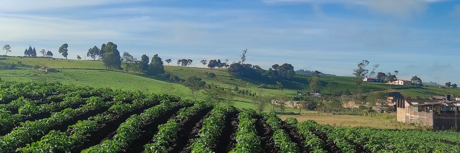 Ginger banner