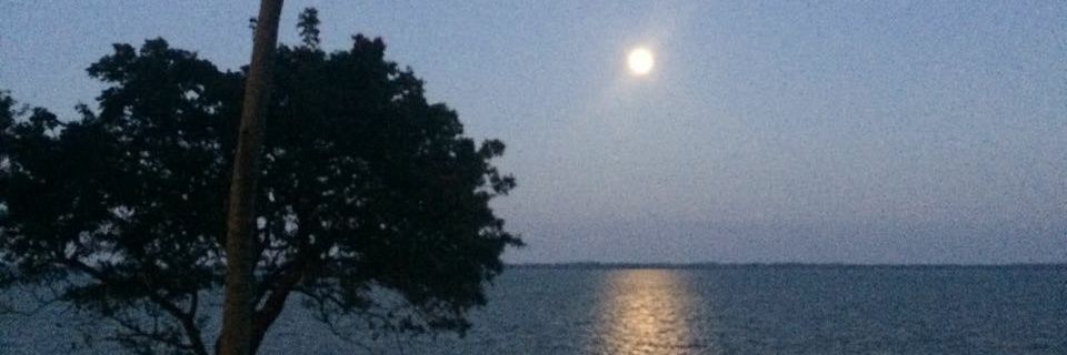 nafking10's profile banner image