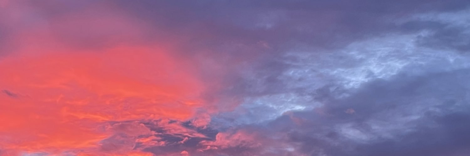 elleuxa's profile banner image