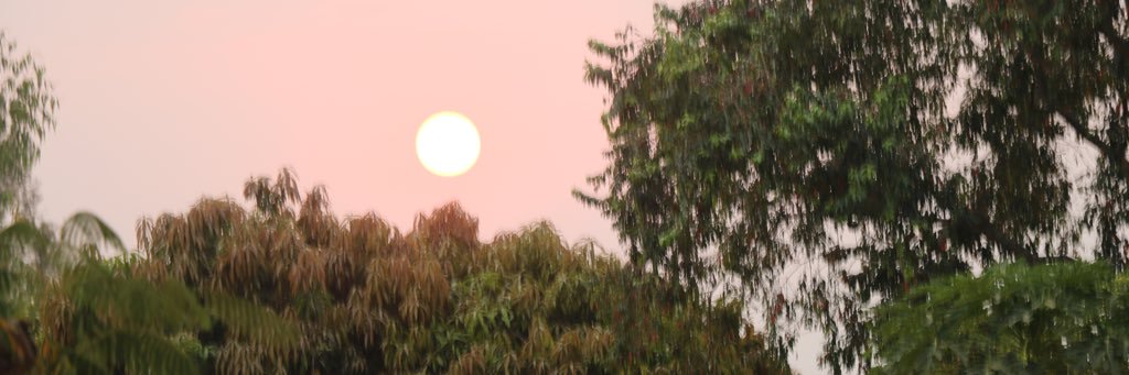 sbiko1's profile banner image